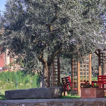 Agriturismo Il Pintello Сан-Кашіано-ін-Валь-ді-Пеза Екстер'єр фото