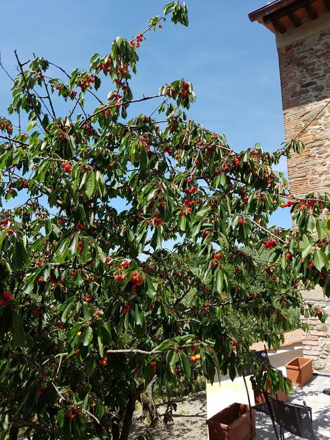 Agriturismo Il Pintello Сан-Кашіано-ін-Валь-ді-Пеза Екстер'єр фото